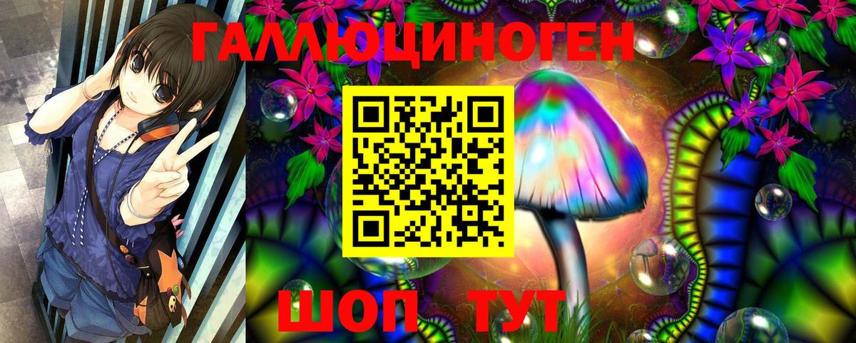 Псилоцибиновые грибы Psilocybe  Псилоцибиновые грибы GOLDEN TEACHER  Сухой Лог  Вход с VPN 